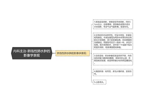 内科主治-肺泡性肺水肿的影像学表现