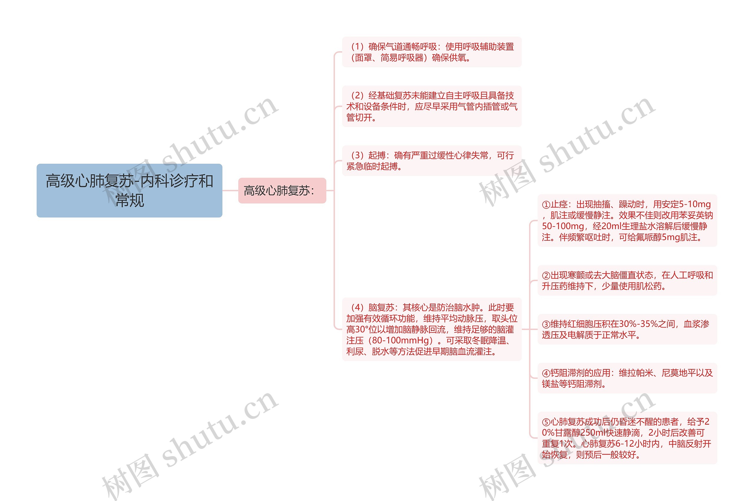 高级心肺复苏-内科诊疗和常规思维导图