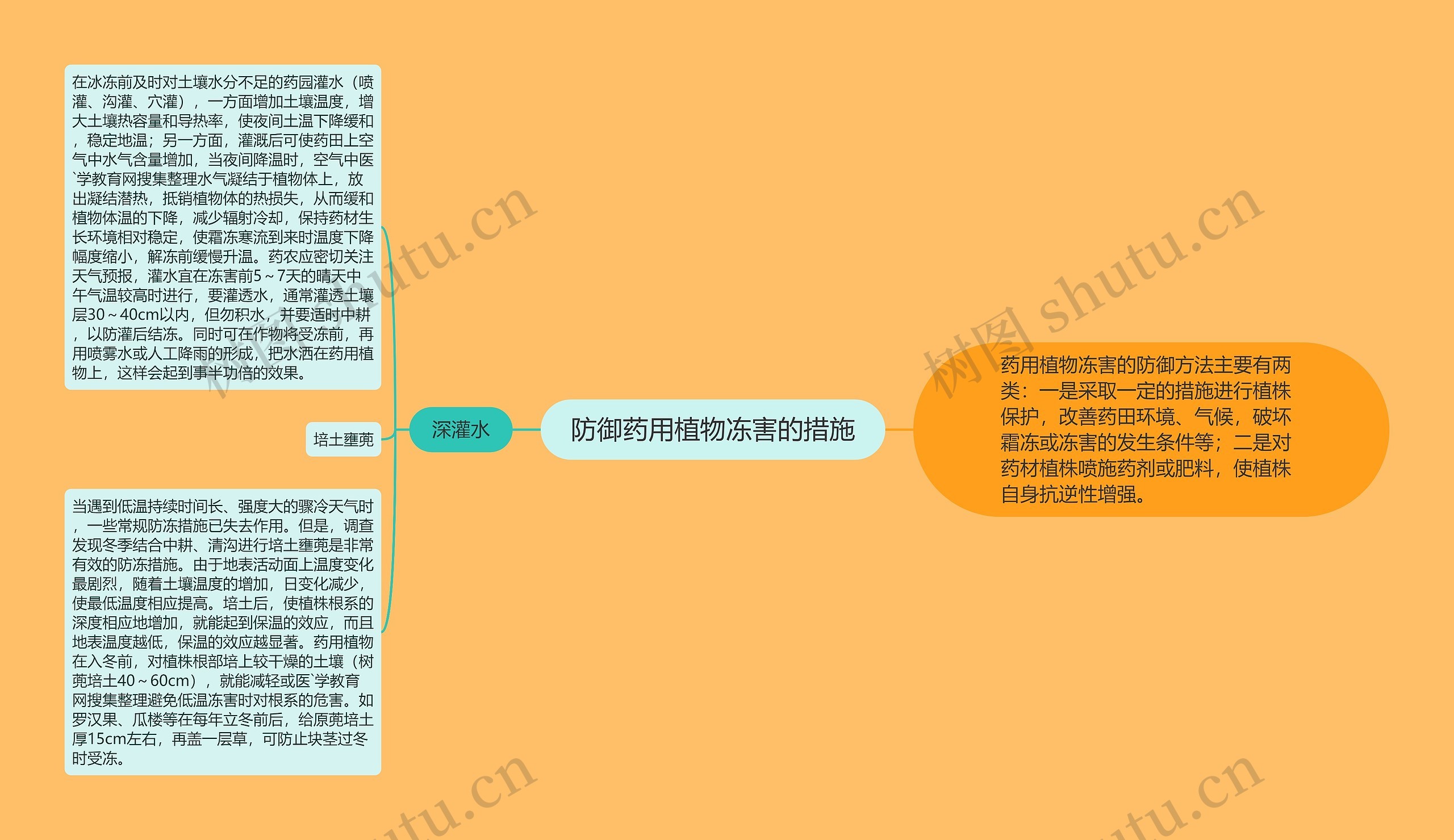 防御药用植物冻害的措施思维导图