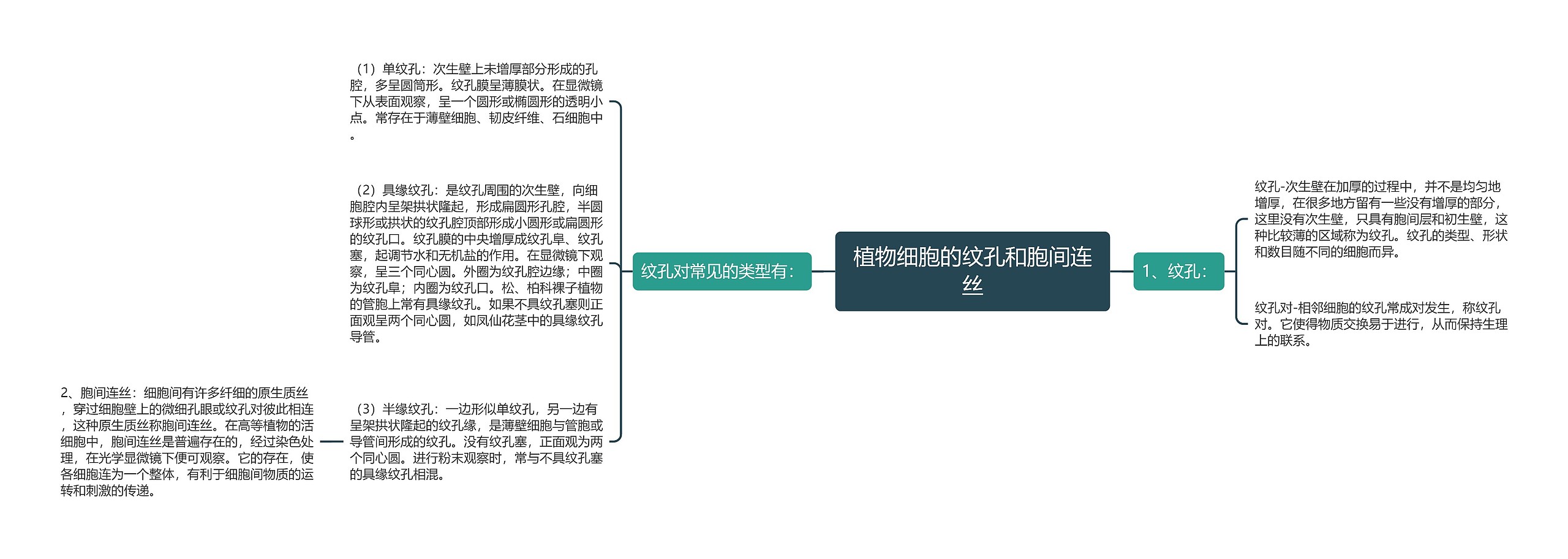 植物细胞的纹孔和胞间连丝思维导图