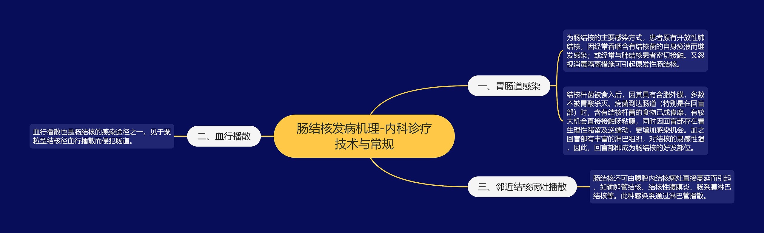 肠结核发病机理-内科诊疗技术与常规思维导图