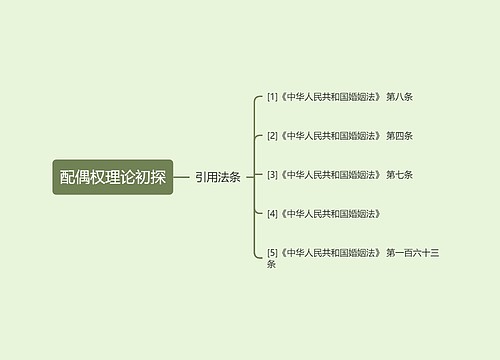 配偶权理论初探