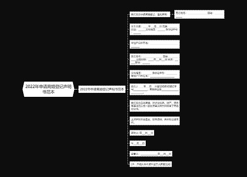 2022年申请离婚登记声明书范本