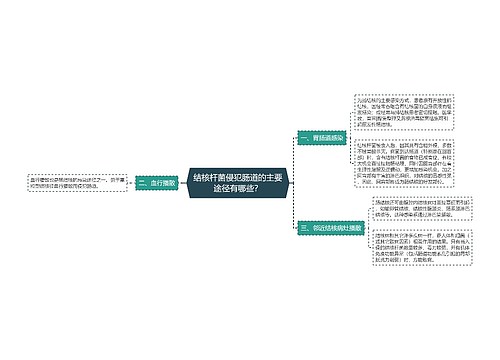 结核杆菌侵犯肠道的主要途径有哪些？