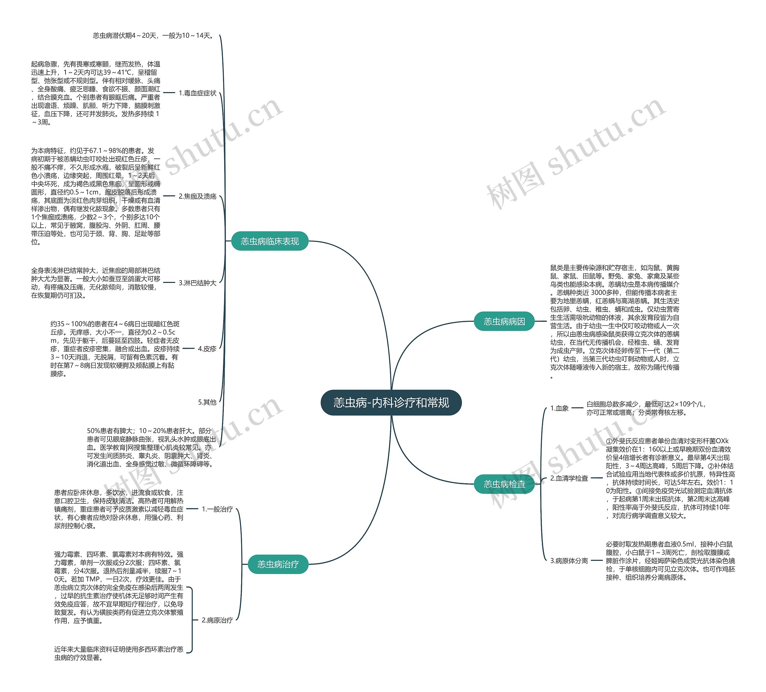 恙虫病-内科诊疗和常规 恙虫病-内科诊疗和常规
