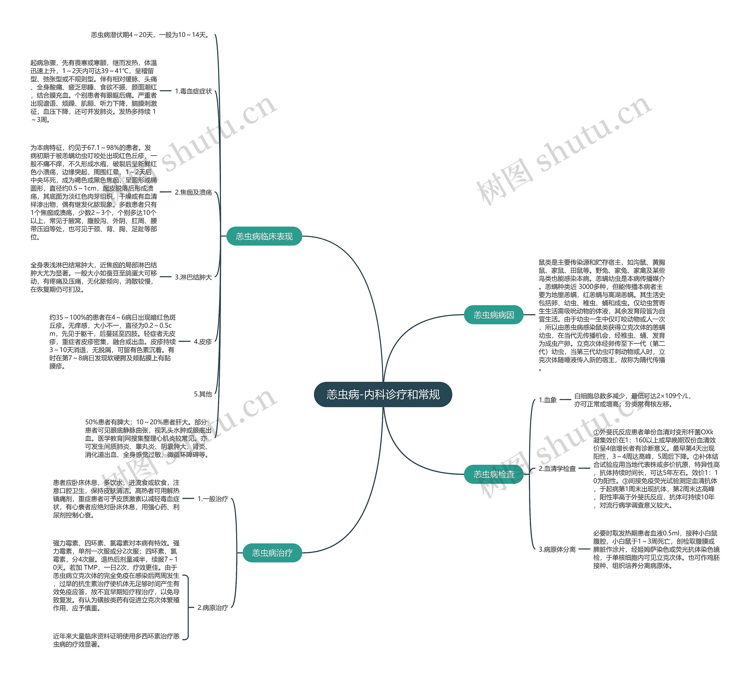 恙虫病-内科诊疗和常规思维导图