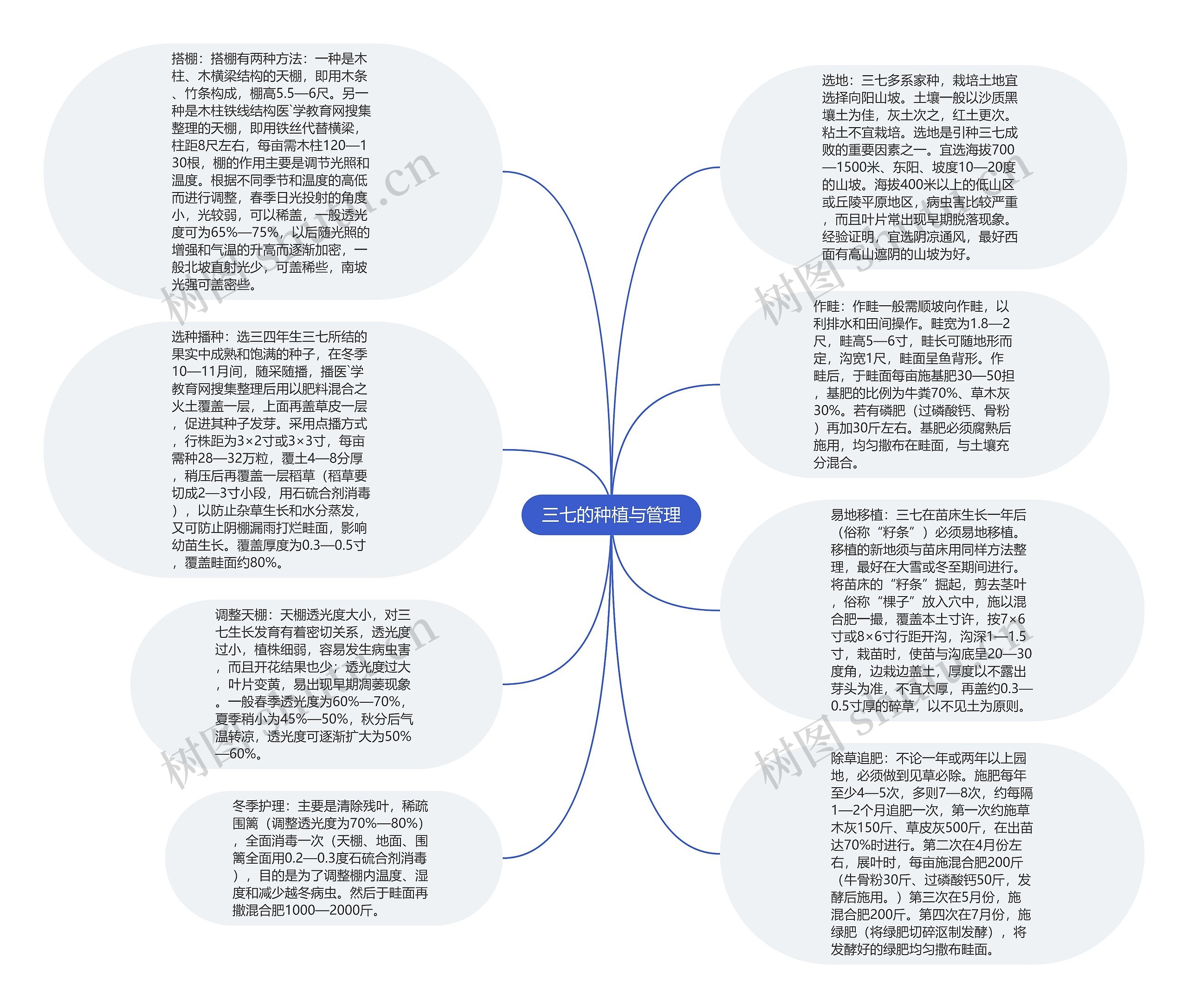 三七的种植与管理思维导图