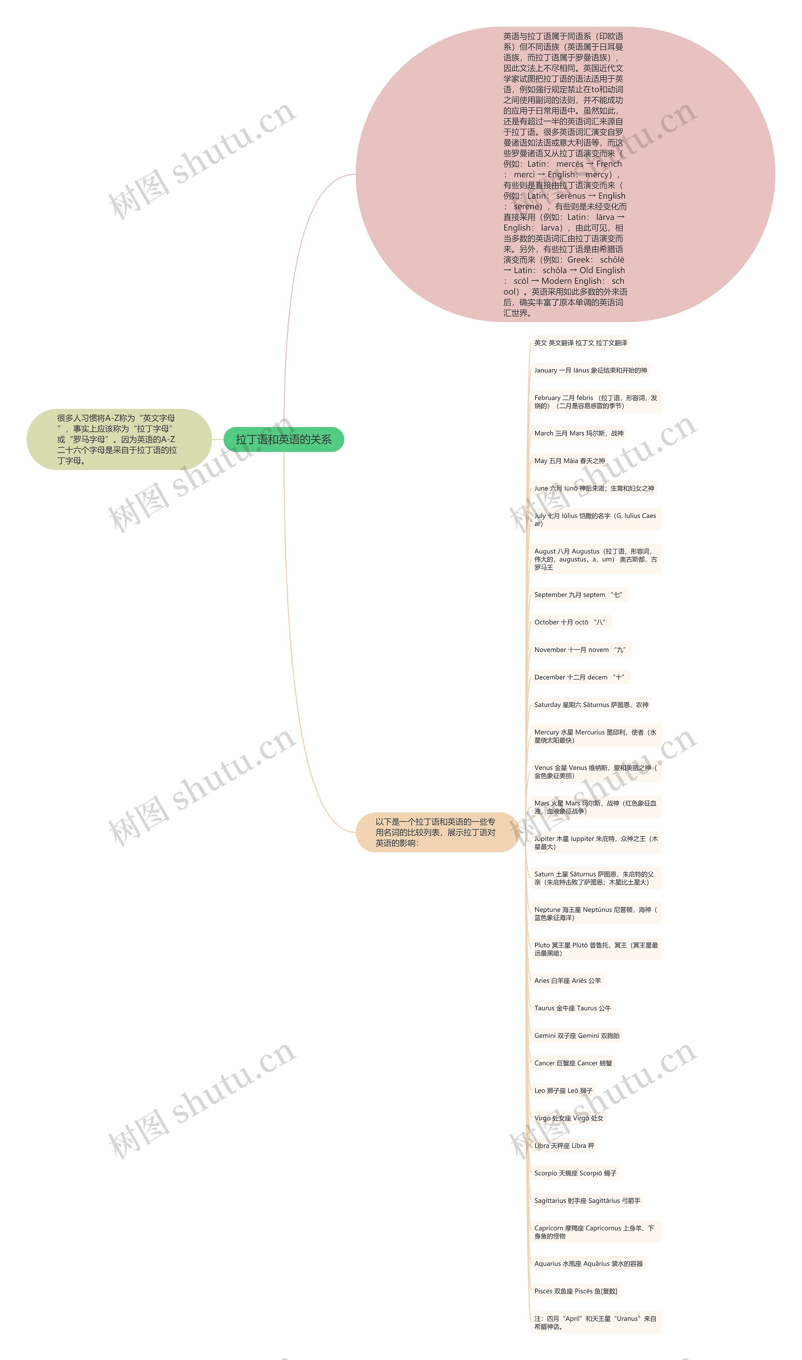 拉丁语和英语的关系思维导图