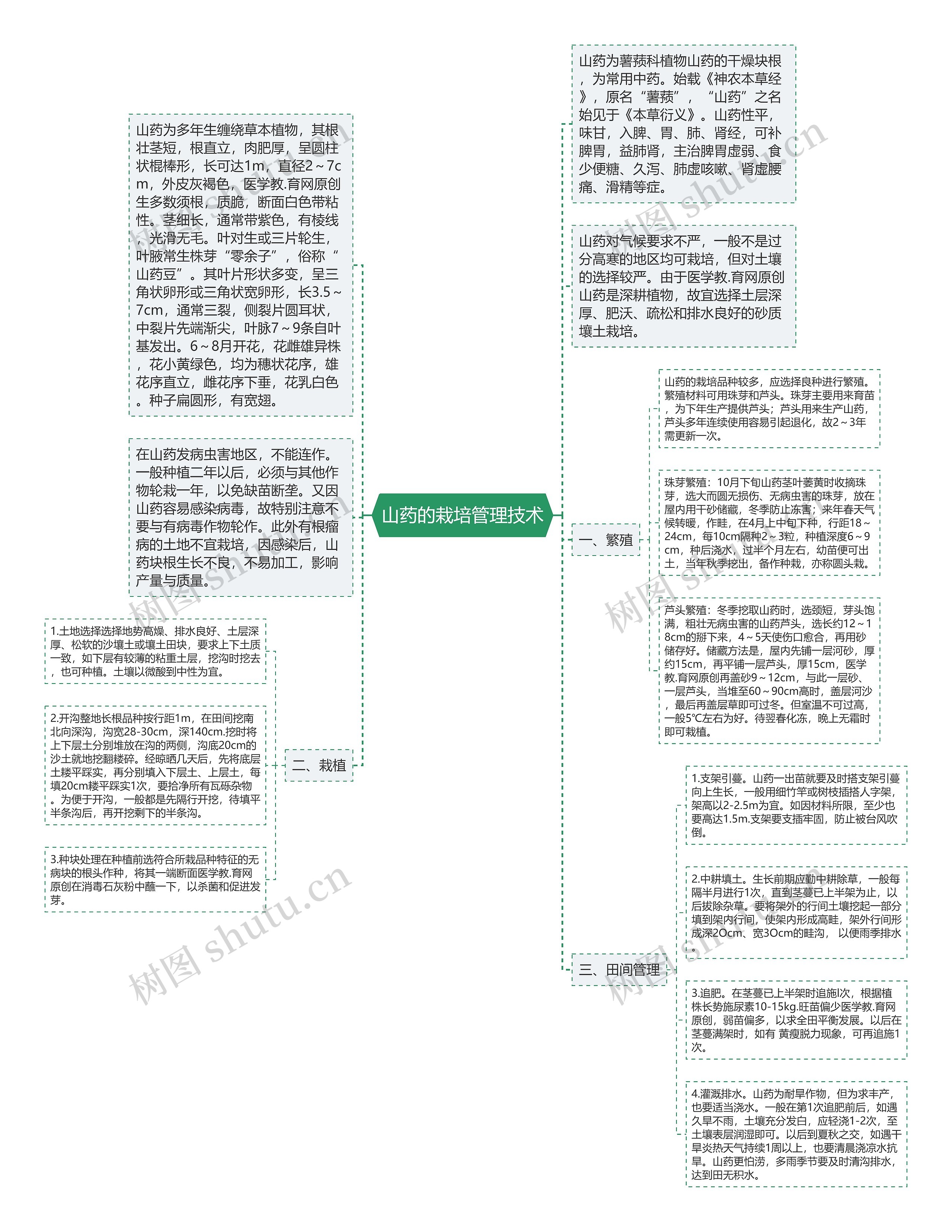 山药的栽培管理技术