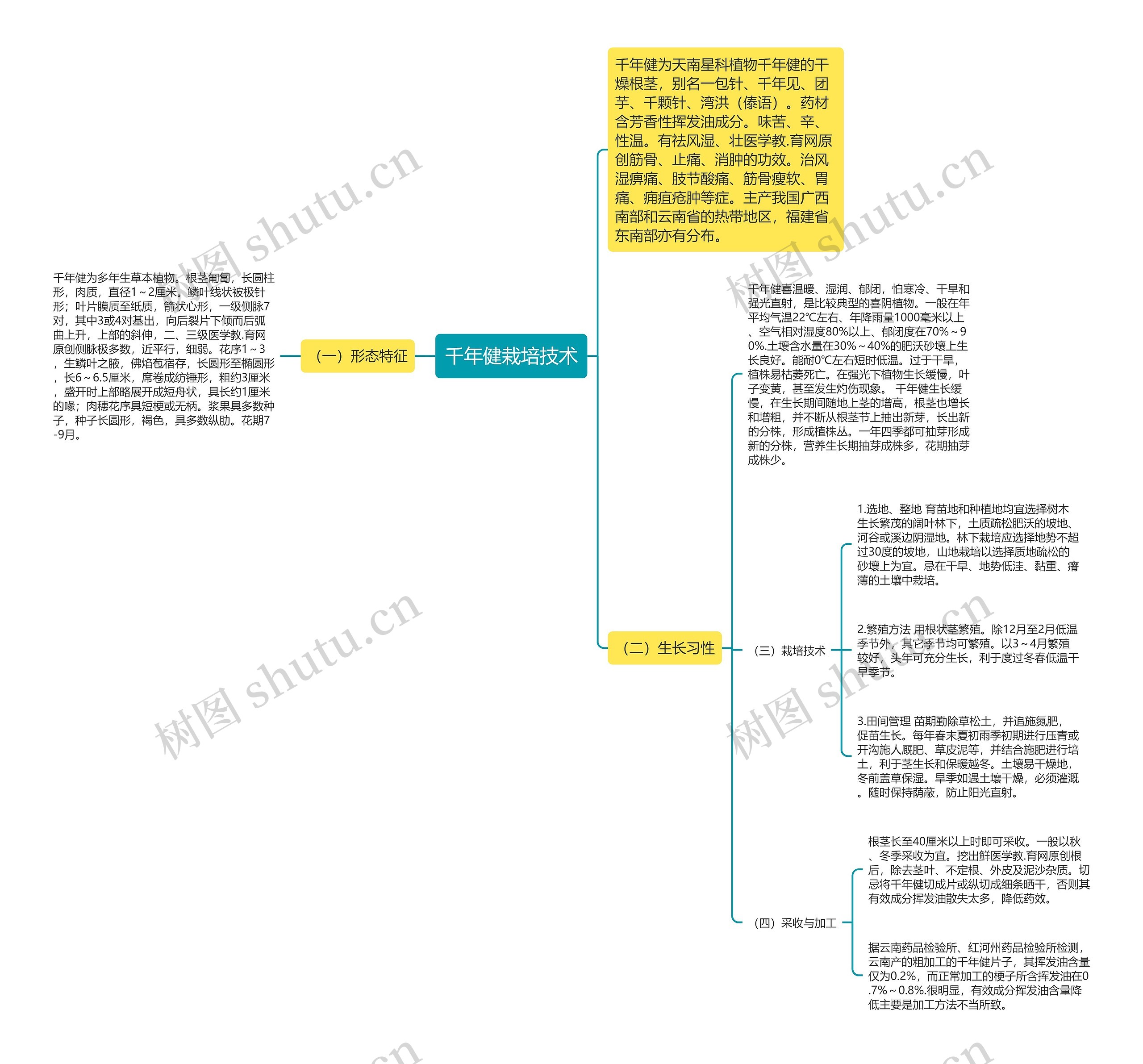 千年健栽培技术思维导图