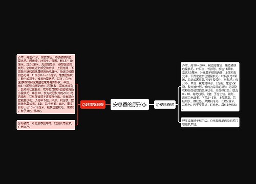 安息香的原形态