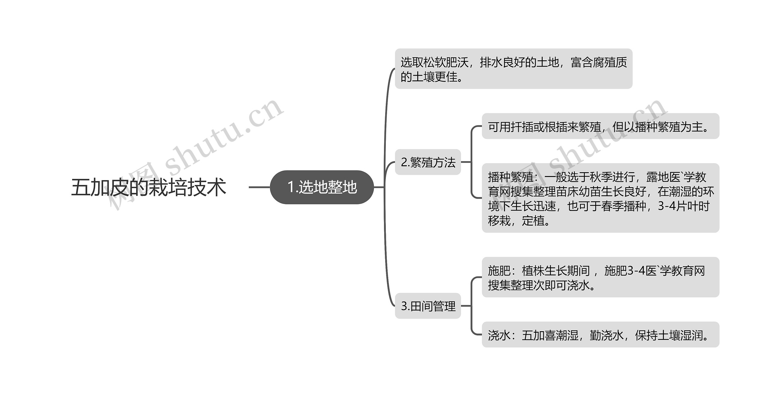 五加皮的栽培技术思维导图