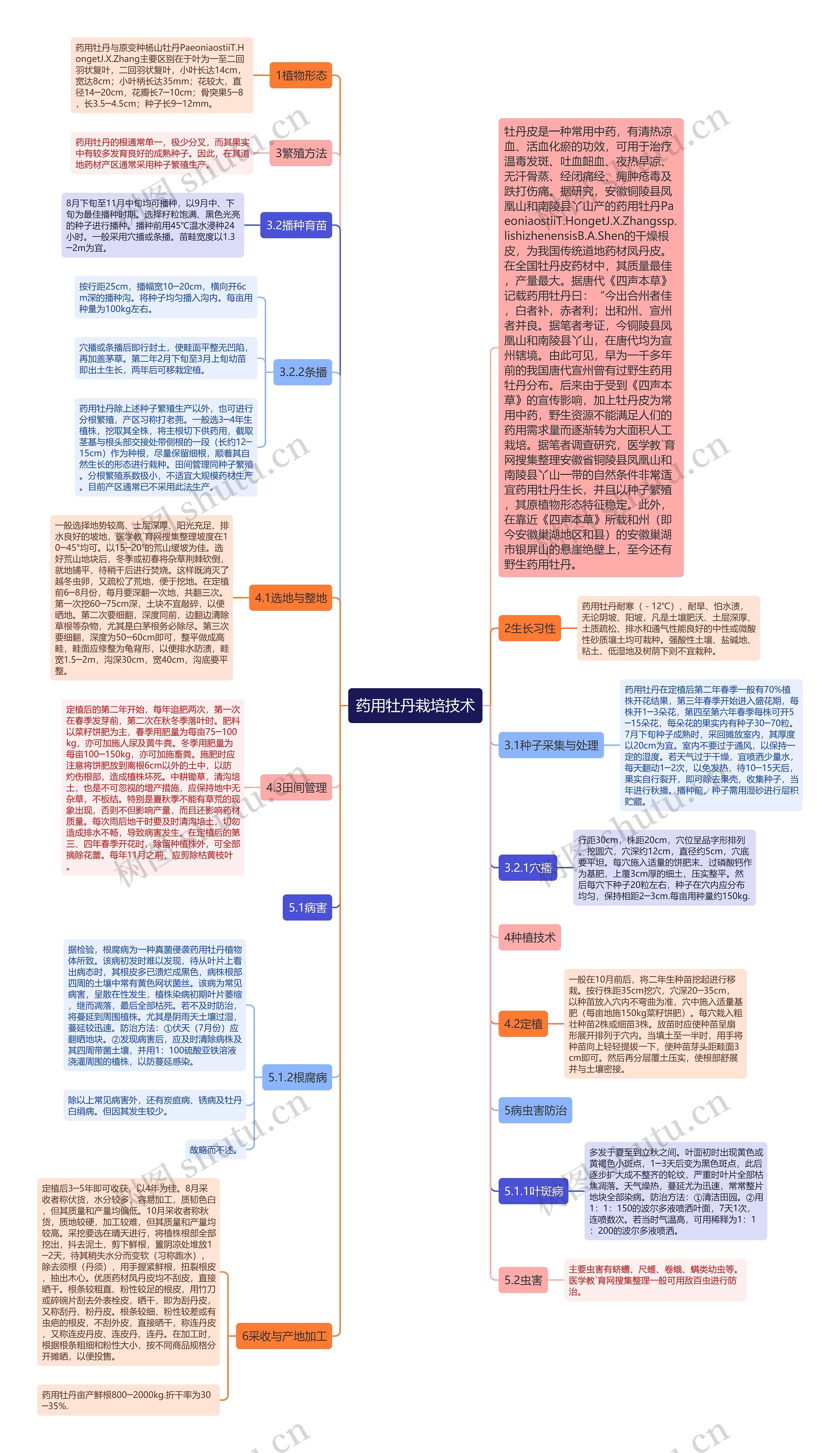 药用牡丹栽培技术