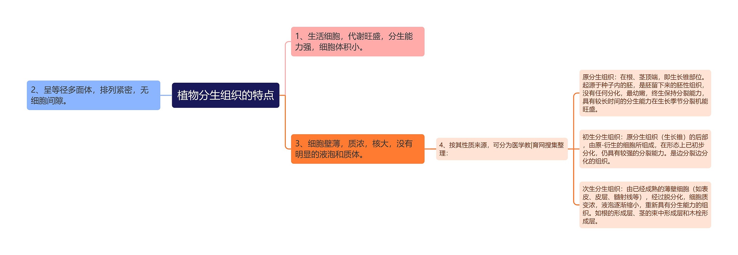 植物分生组织的特点