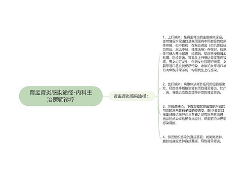 肾盂肾炎感染途径-内科主治医师诊疗