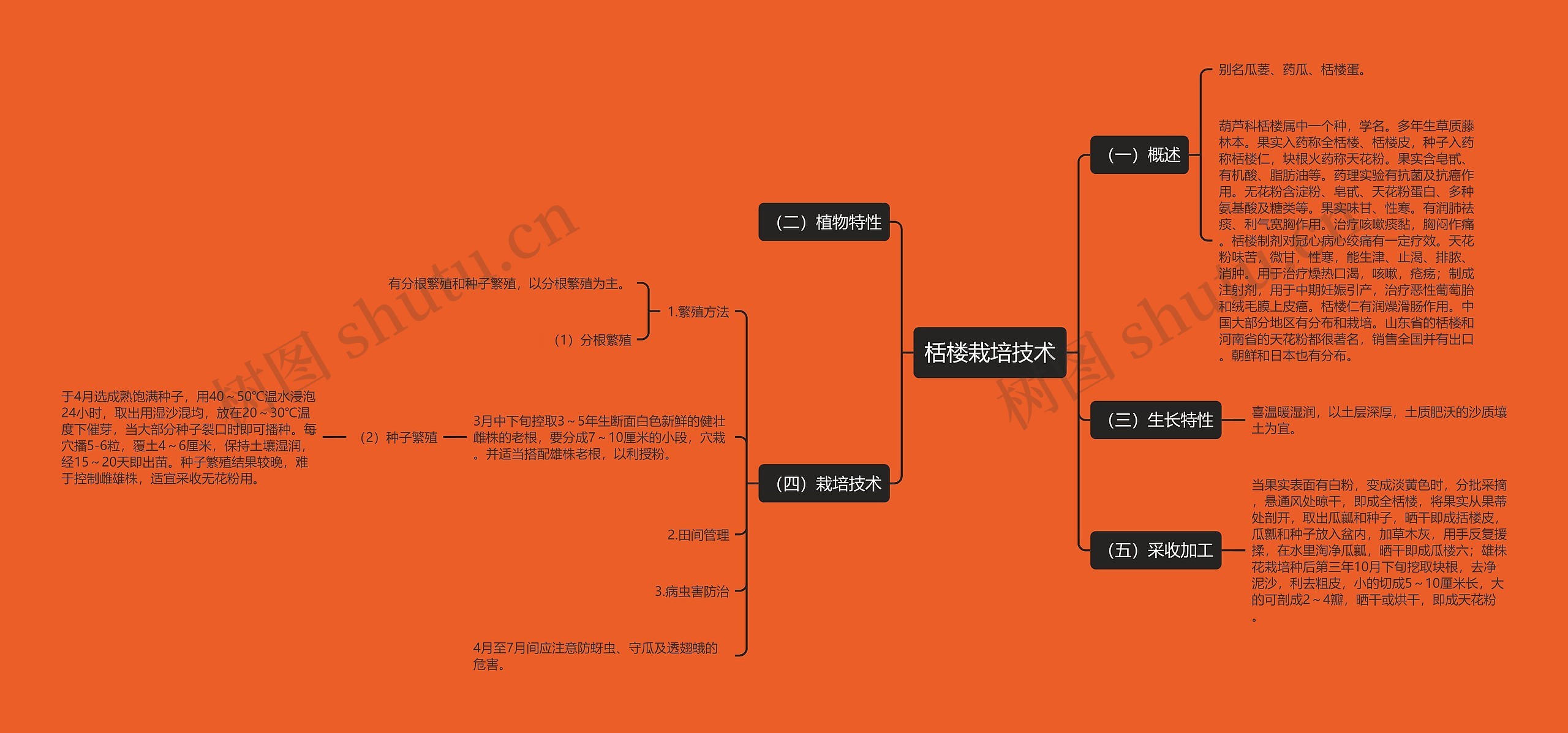 栝楼栽培技术