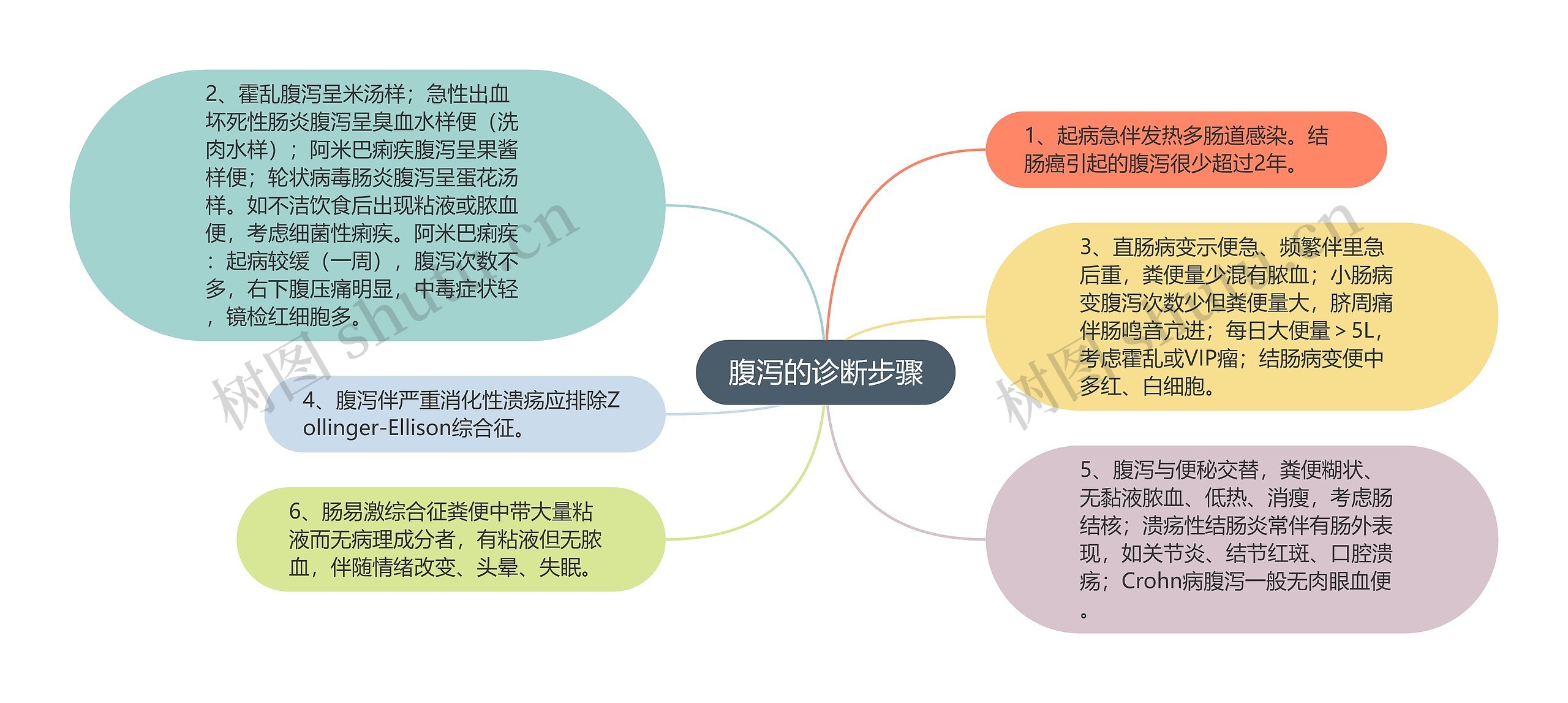 腹泻的诊断步骤思维导图