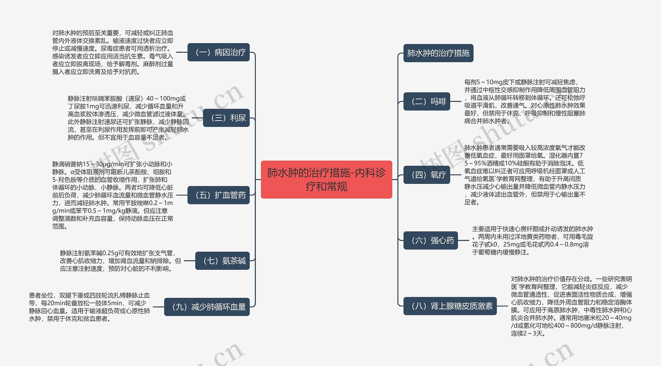 肺水肿的治疗措施-内科诊疗和常规思维导图