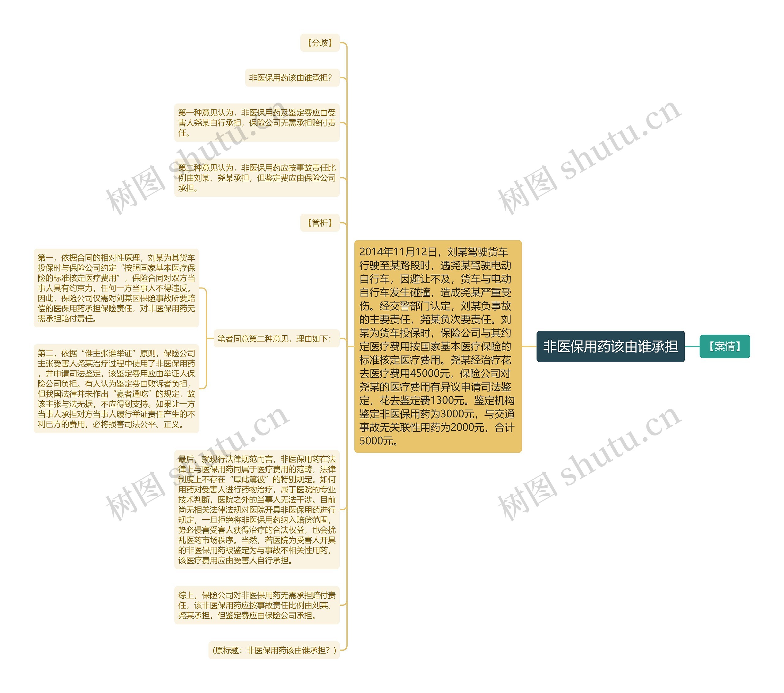 非医保用药该由谁承担思维导图