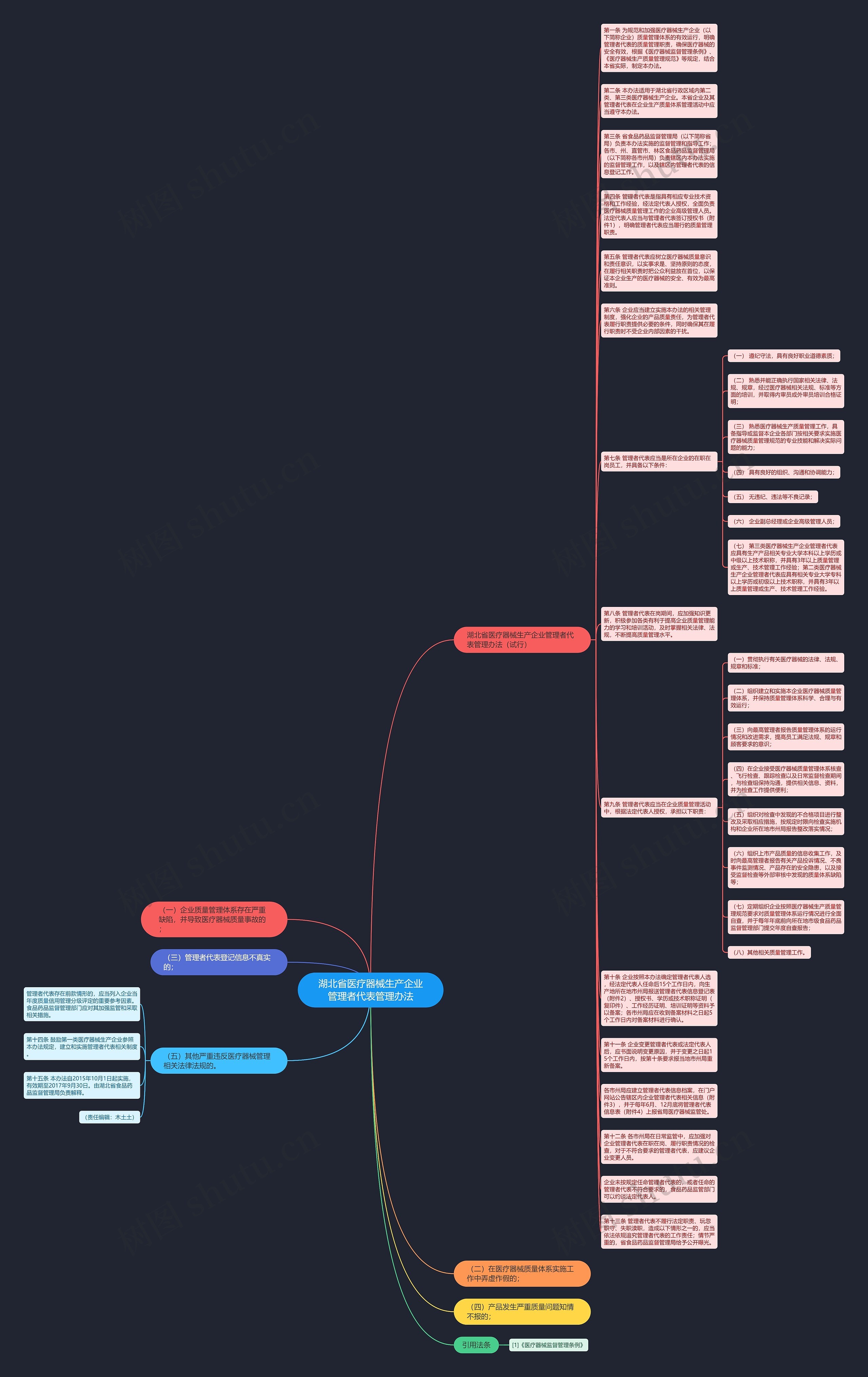 湖北省医疗器械生产企业管理者代表管理办法思维导图
