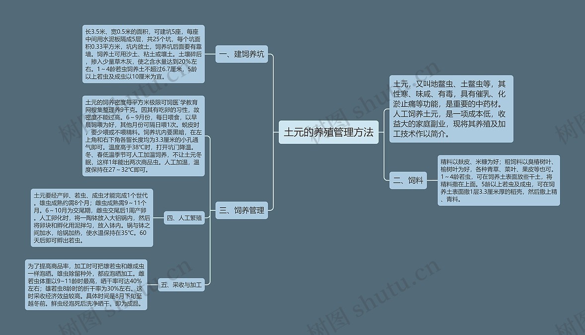 土元的养殖管理方法思维导图_编号p7439942-TreeMind树图