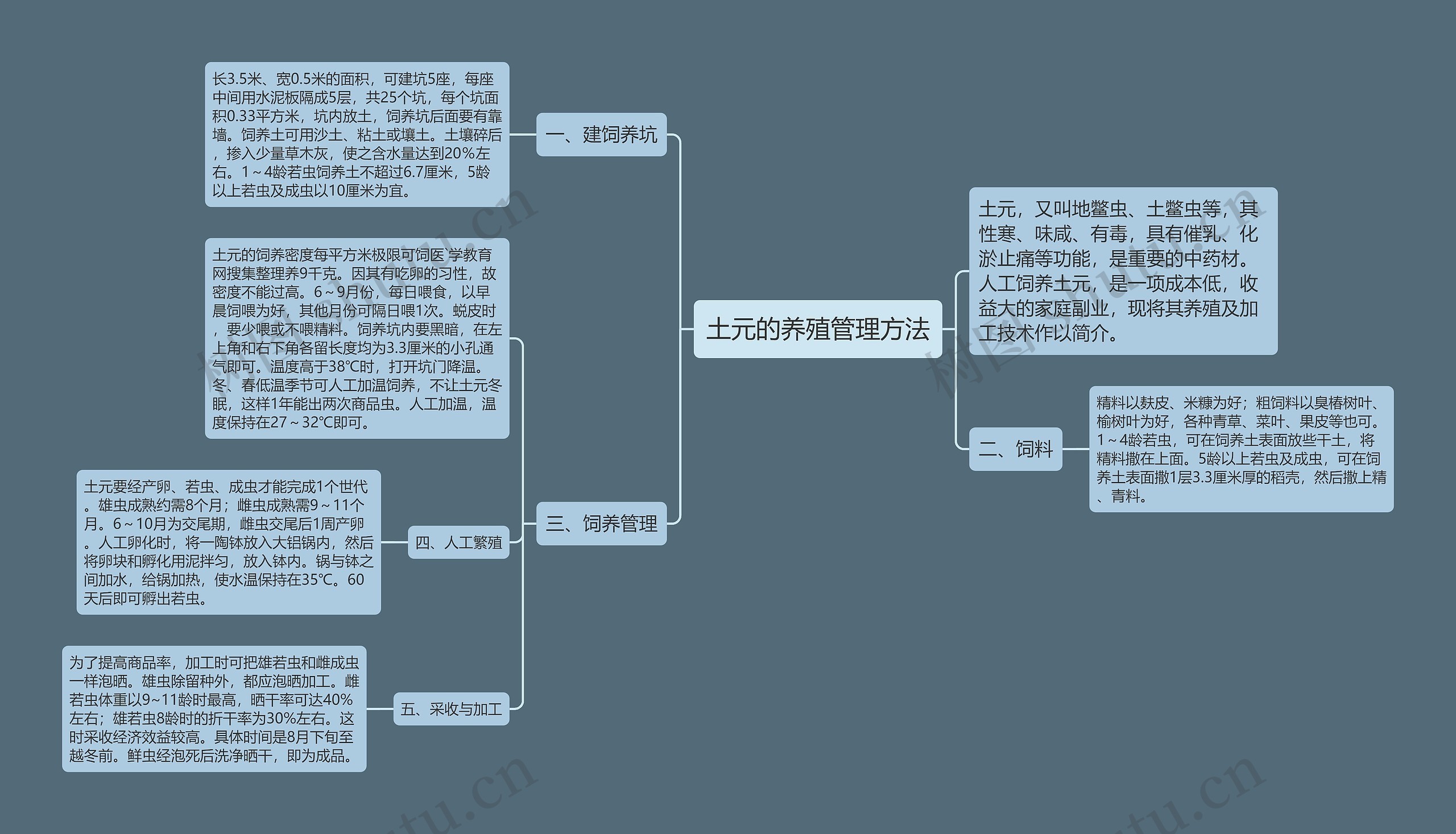 土元的养殖管理方法思维导图