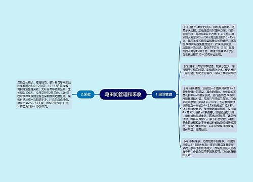 葛田间管理和采收