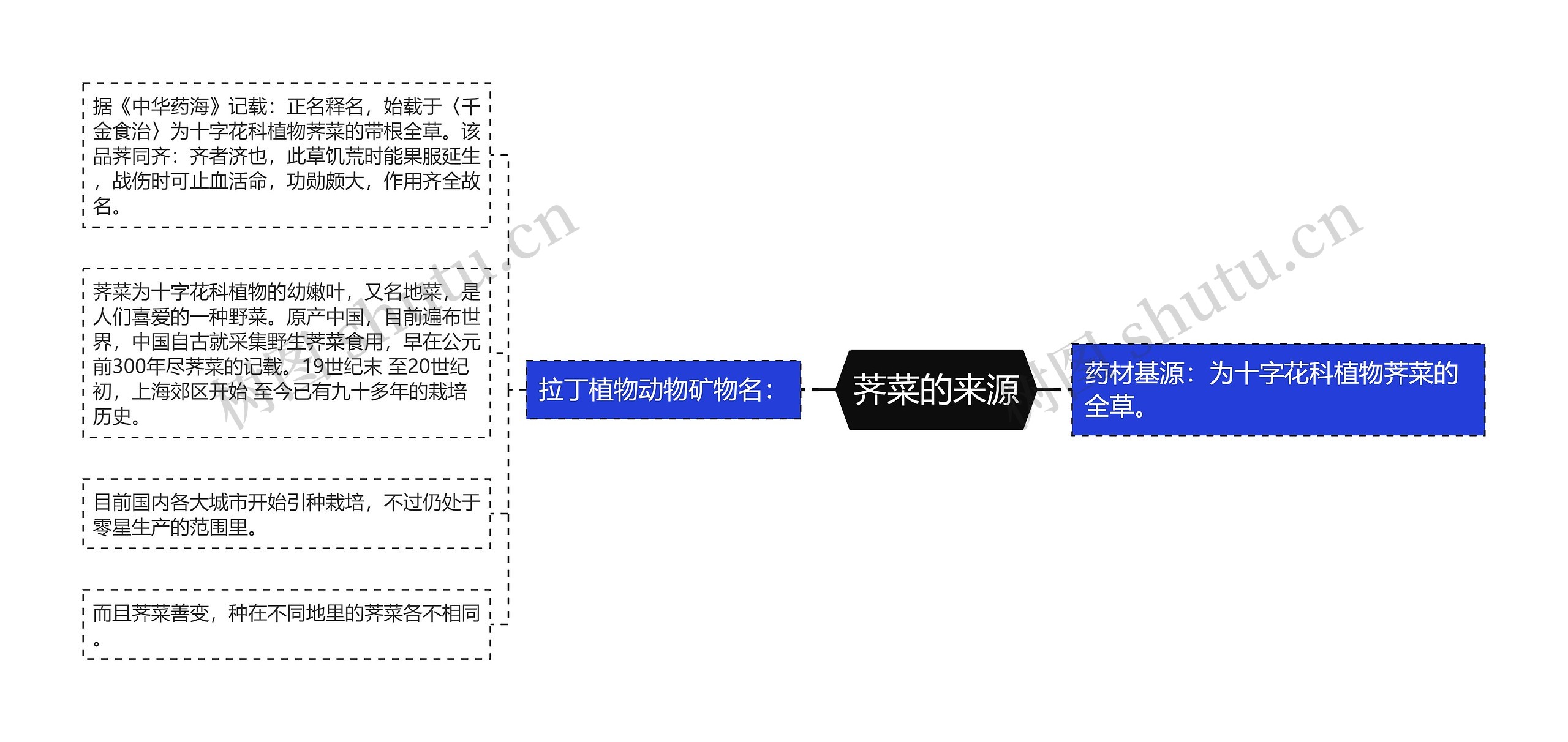 荠菜的来源思维导图