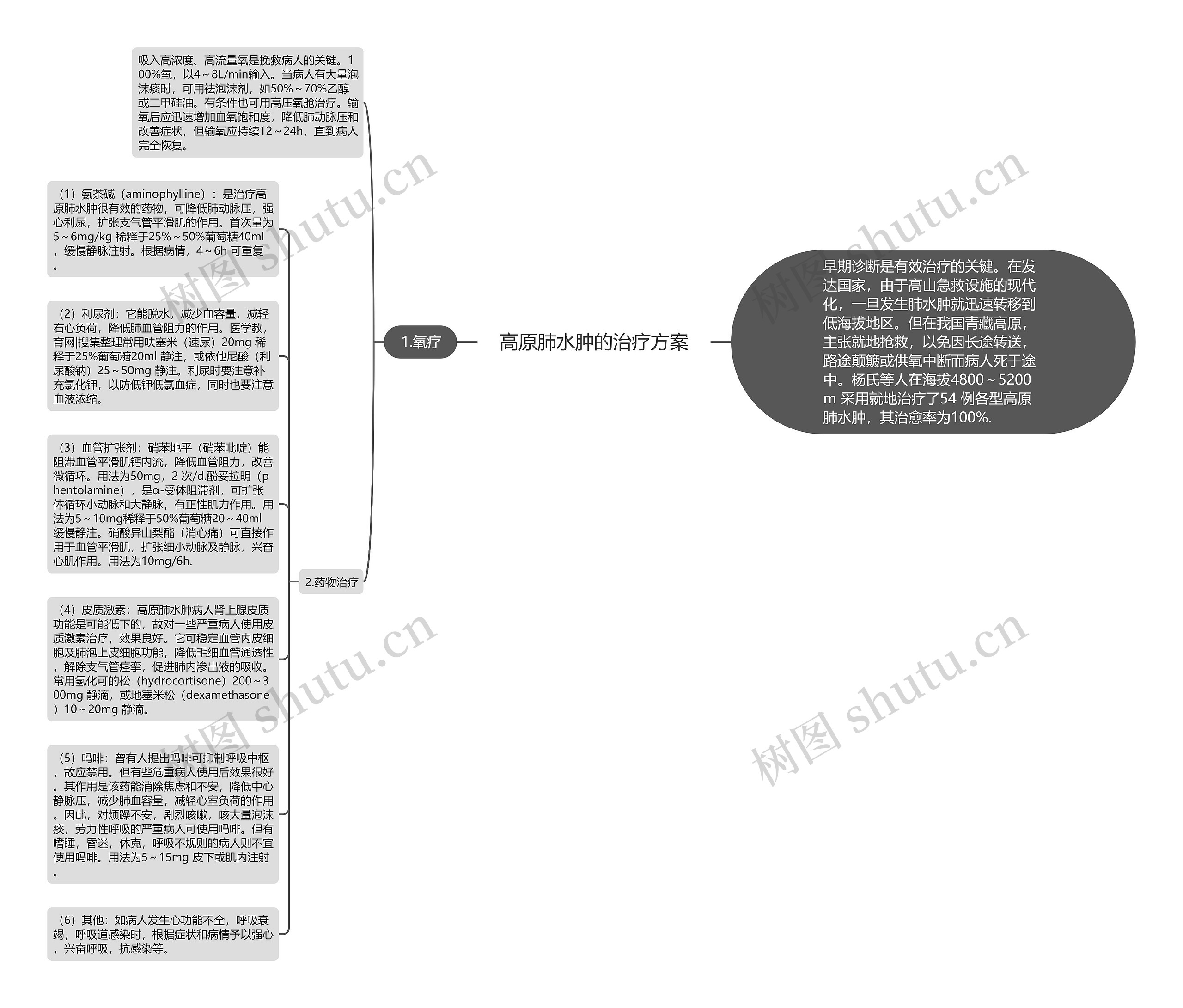 高原肺水肿的治疗方案思维导图