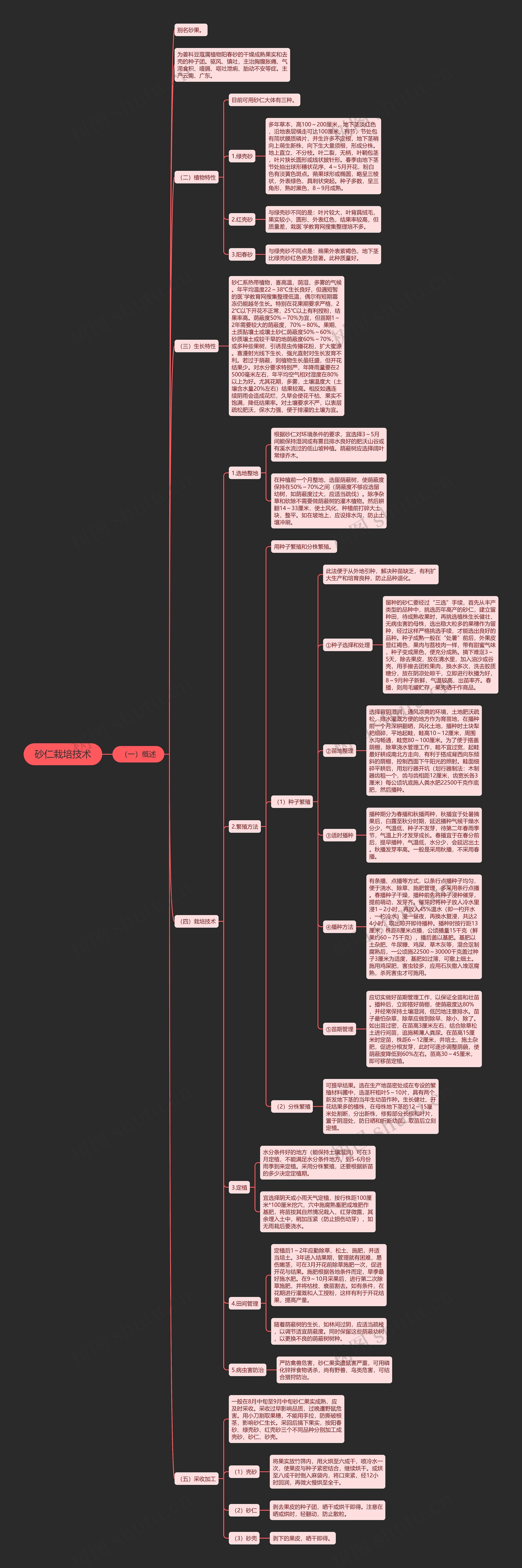 砂仁栽培技术思维导图