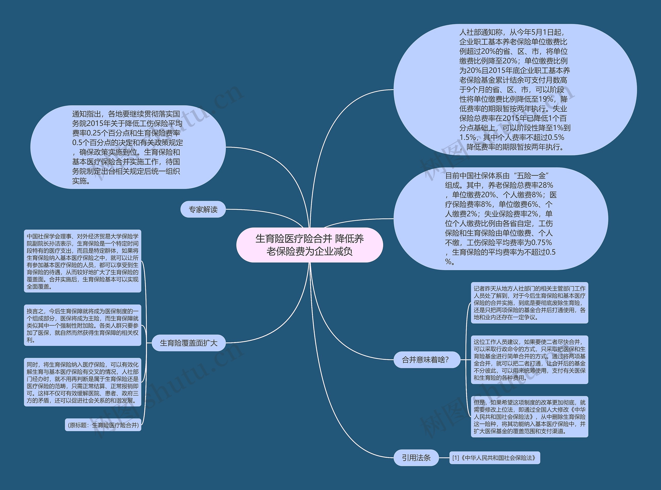 生育险医疗险合并 降低养老保险费为企业减负思维导图