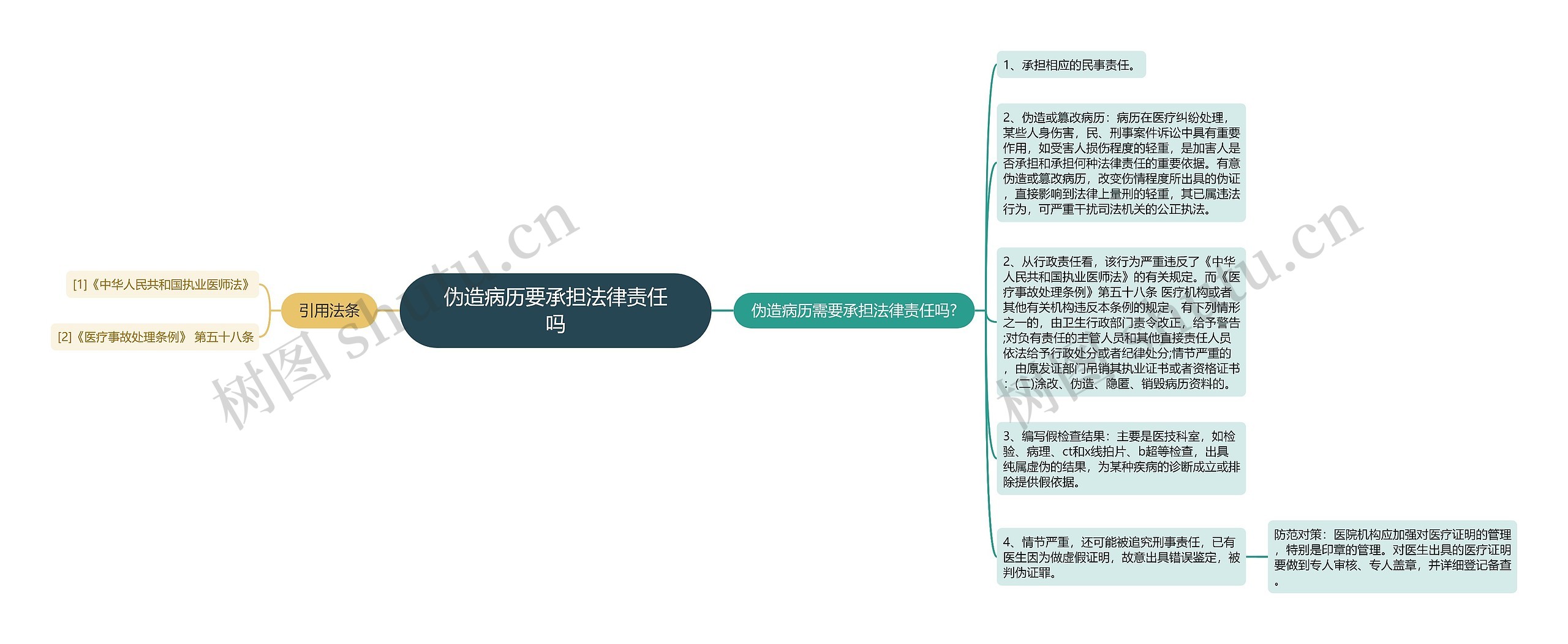 伪造病历要承担法律责任吗思维导图