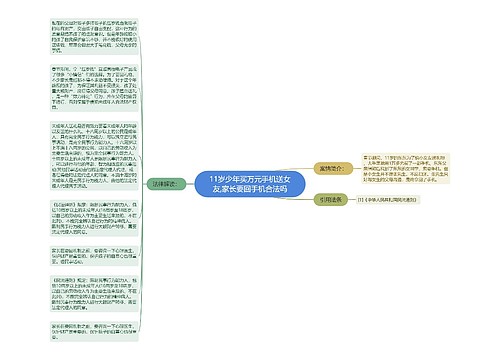 11岁少年买万元手机送女友,家长要回手机合法吗