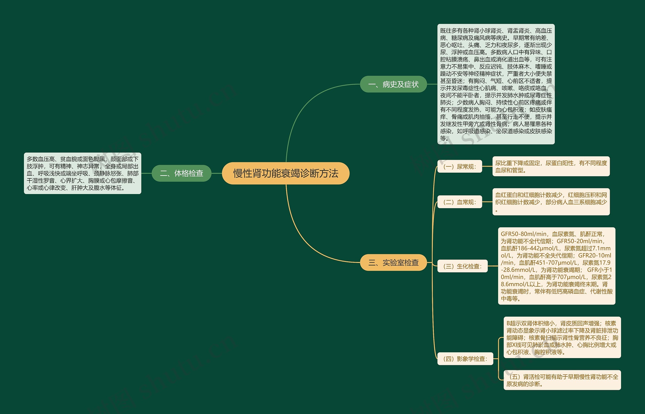 慢性肾功能衰竭诊断方法思维导图