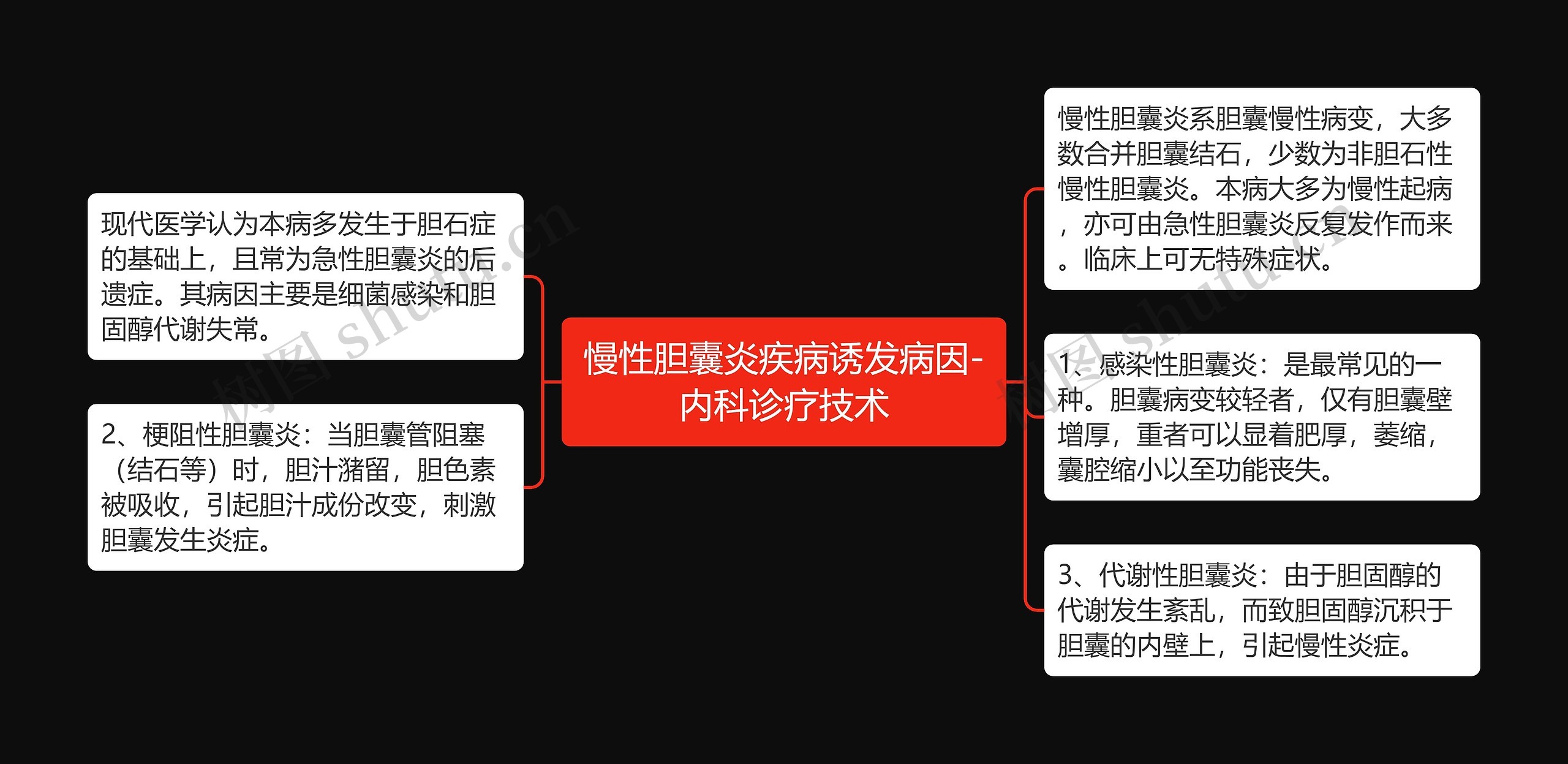 慢性胆囊炎疾病诱发病因-内科诊疗技术