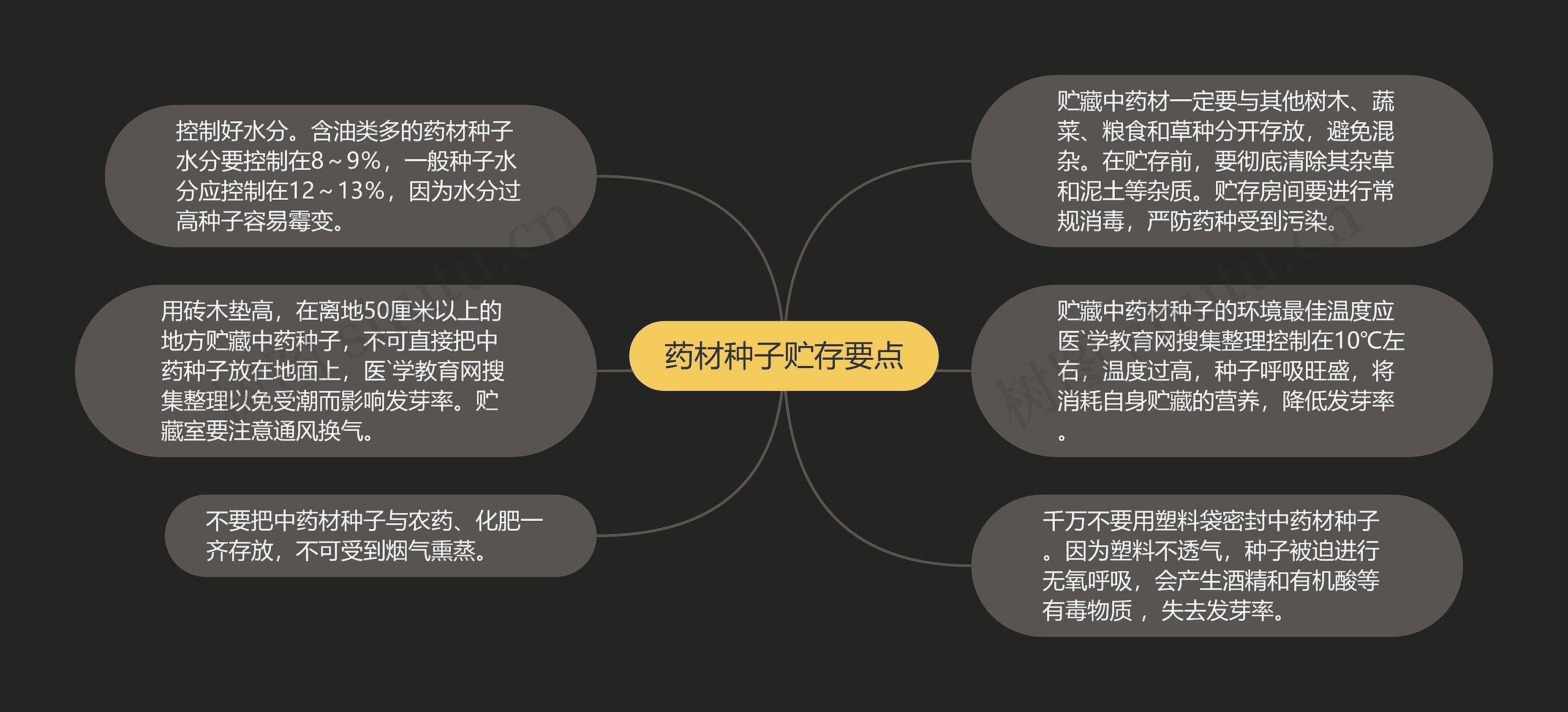 药材种子贮存要点