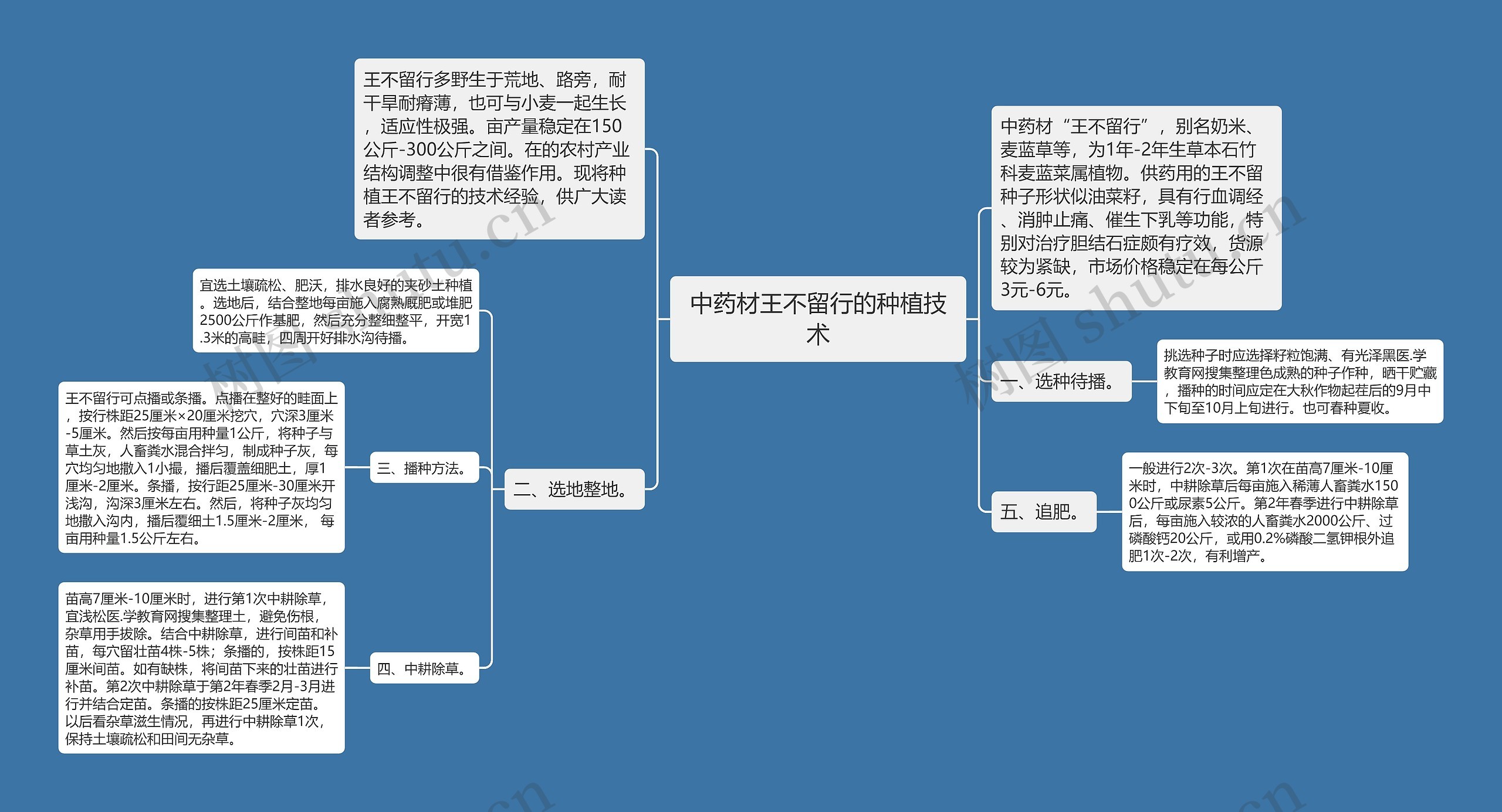 中药材王不留行的种植技术