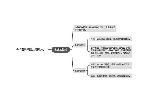 五加皮的栽培技术