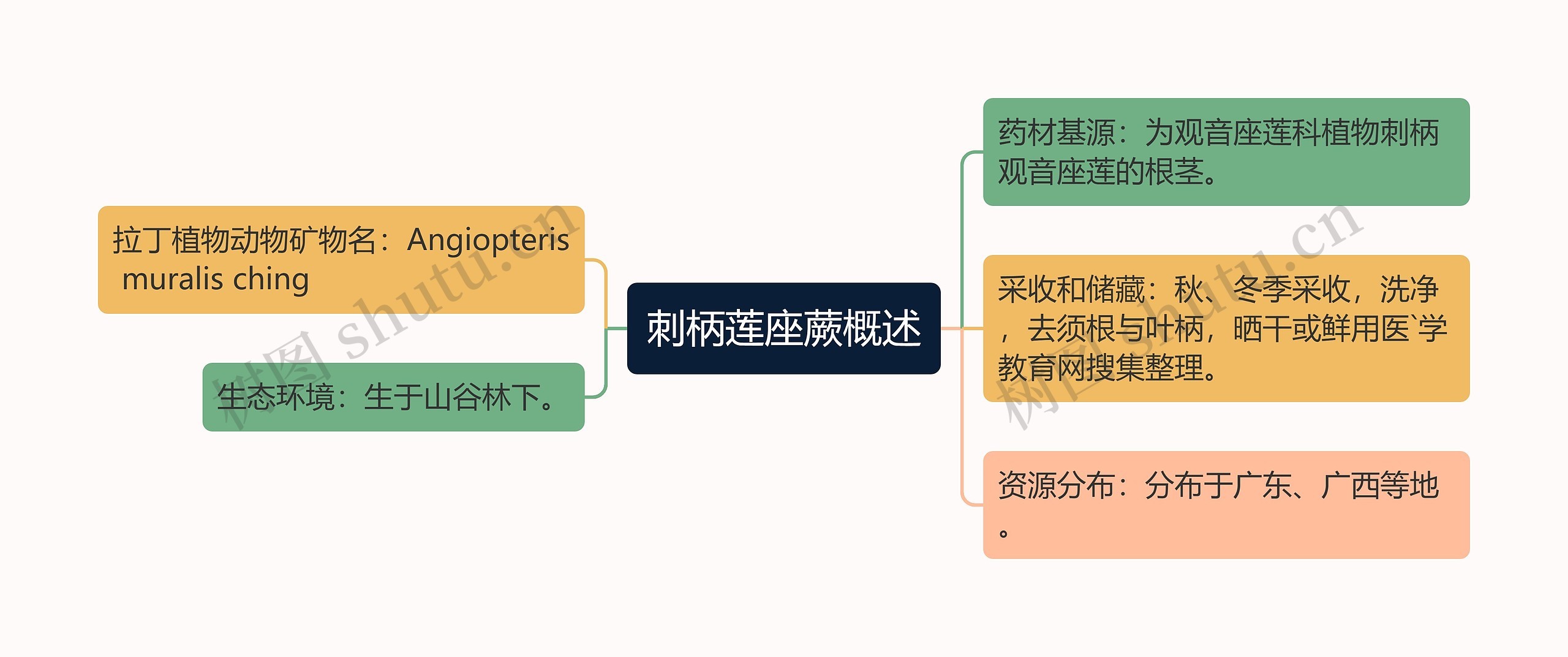 刺柄莲座蕨概述