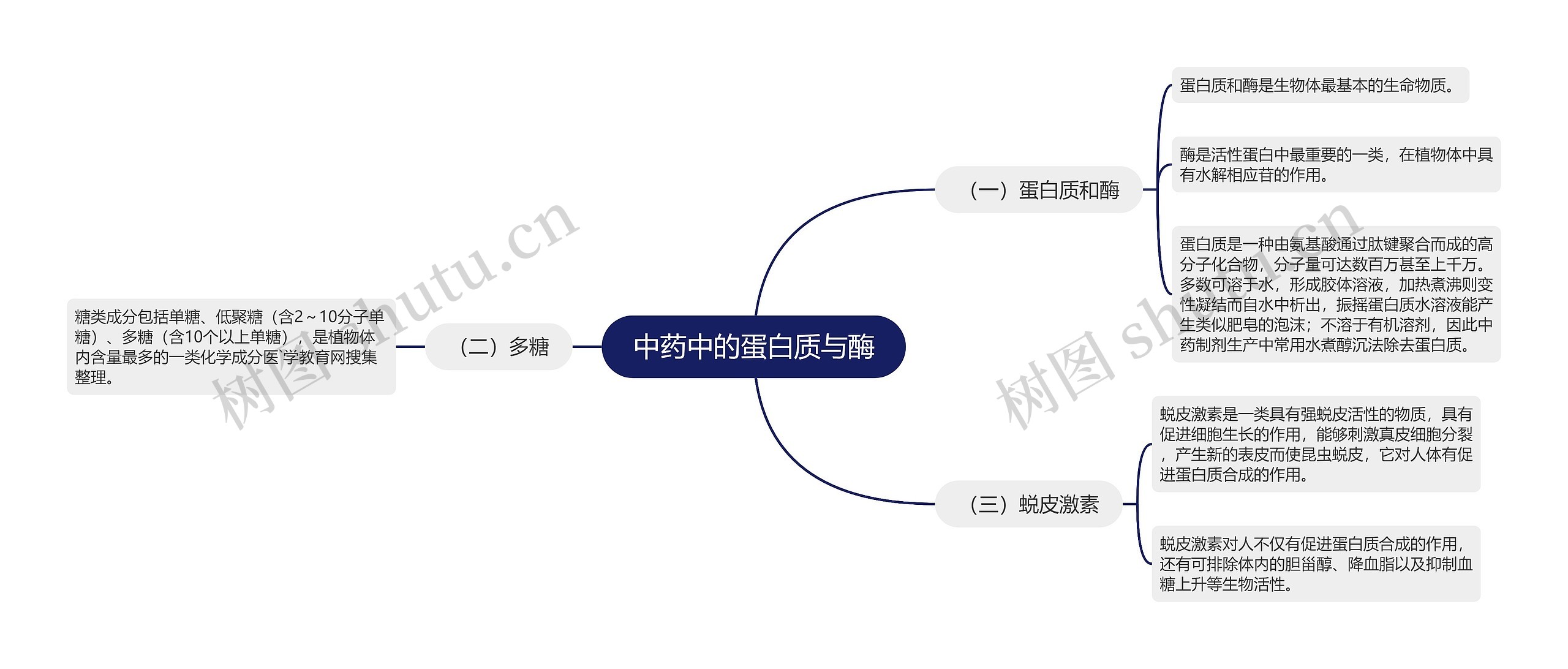 中药中的蛋白质与酶思维导图