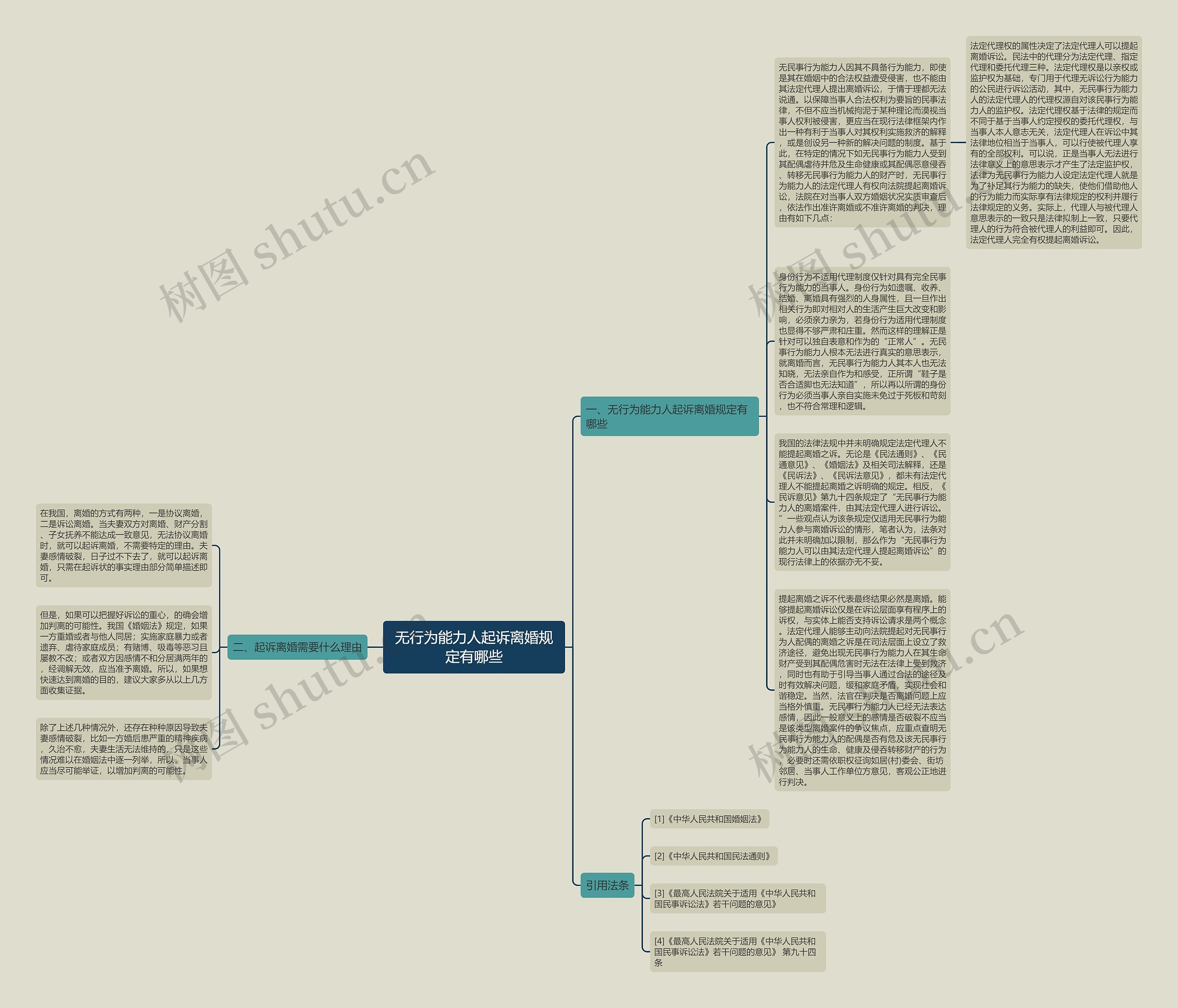 无行为能力人起诉离婚规定有哪些思维导图
