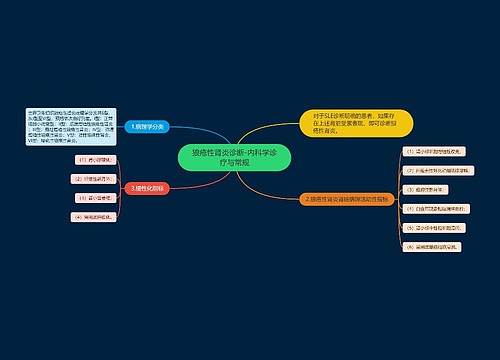 狼疮性肾炎诊断-内科学诊疗与常规