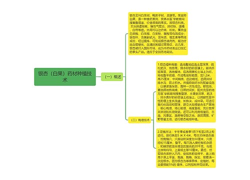 银杏（白果）药材种植技术