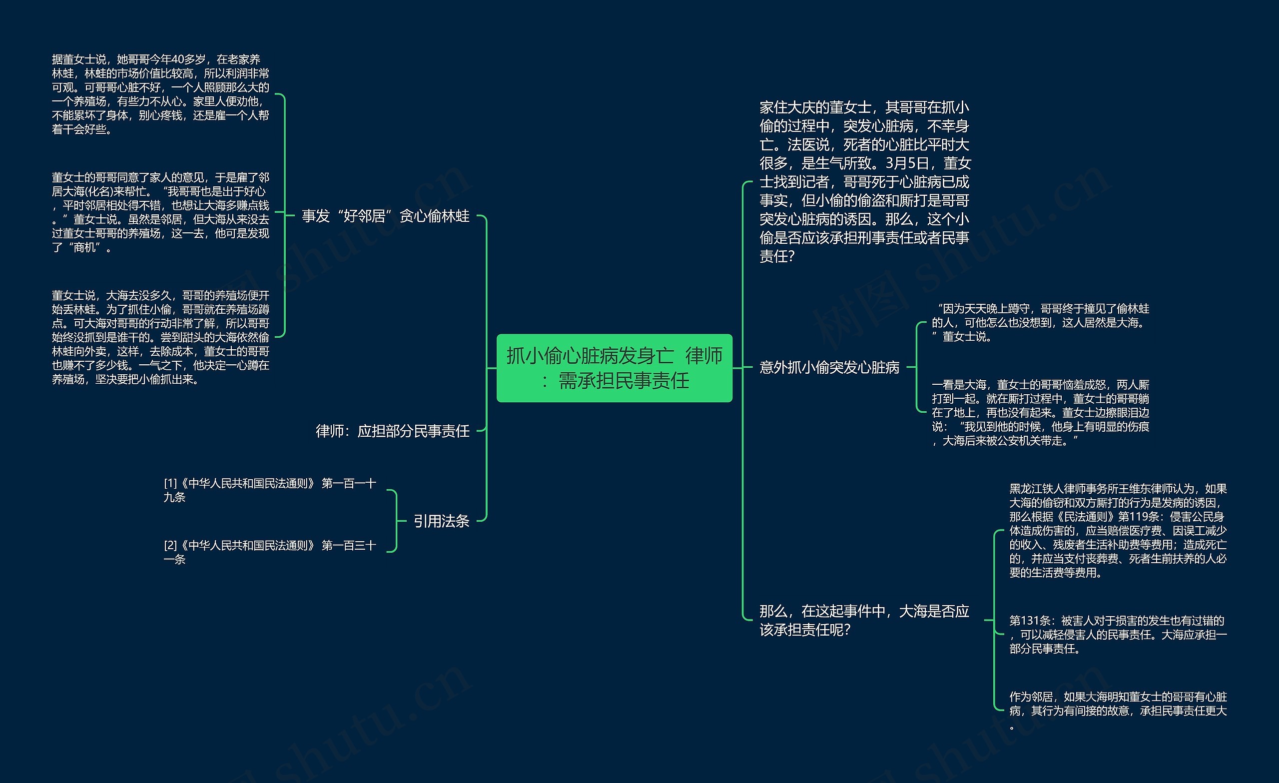 抓小偷心脏病发身亡  律师：需承担民事责任思维导图