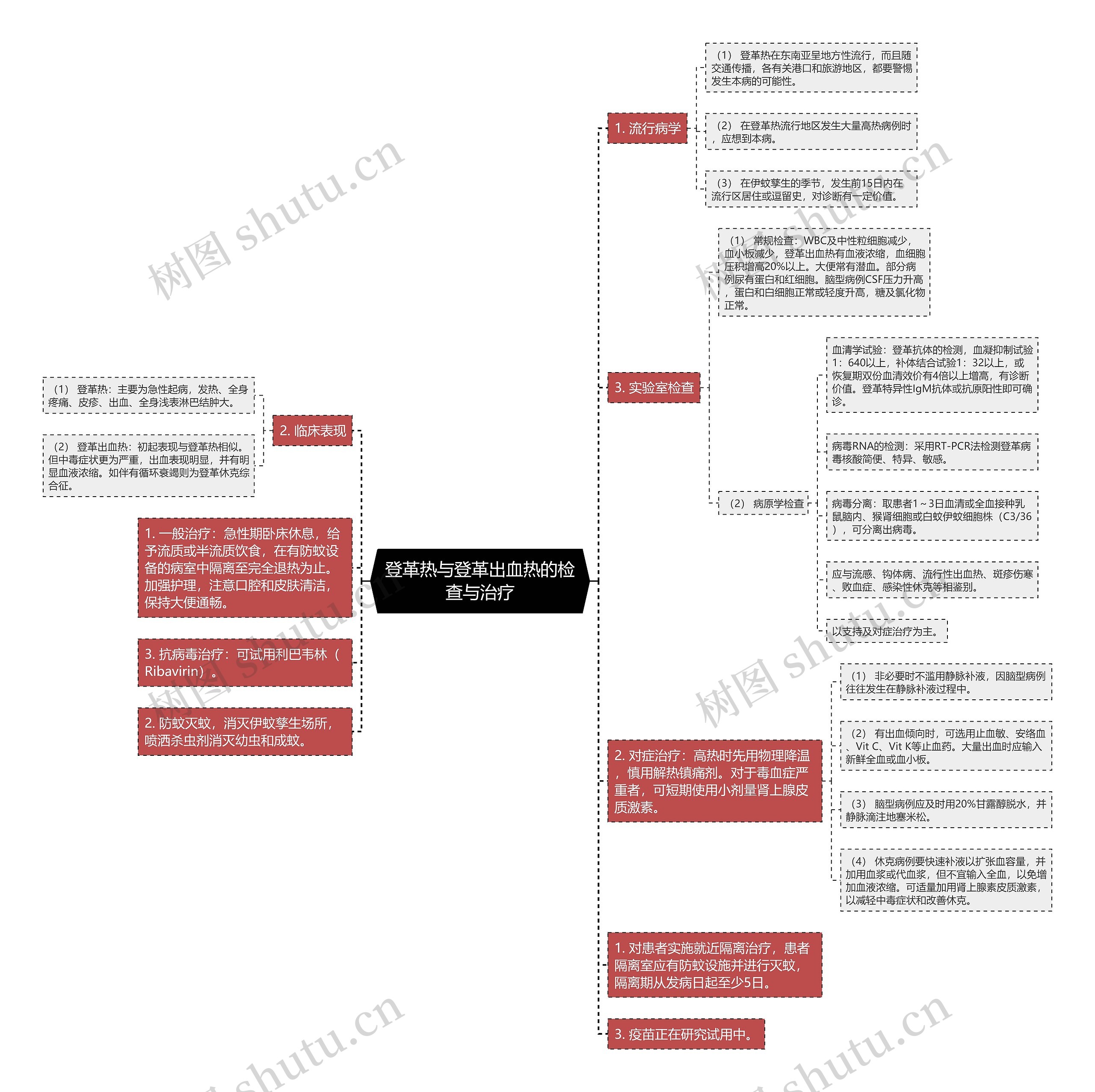 登革热与登革出血热的检查与治疗思维导图
