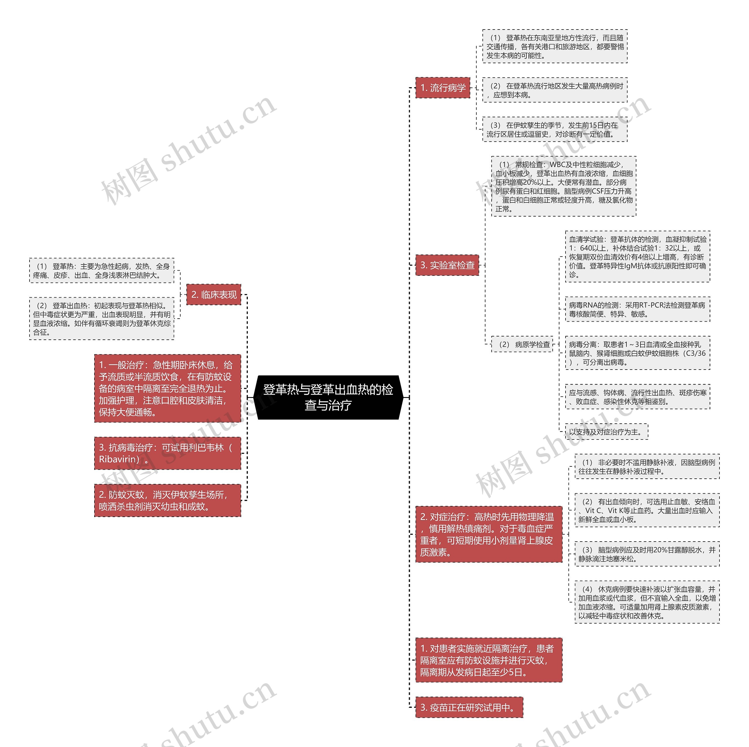 登革热与登革出血热的检查与治疗 登革热与登革出血热的检查与治疗