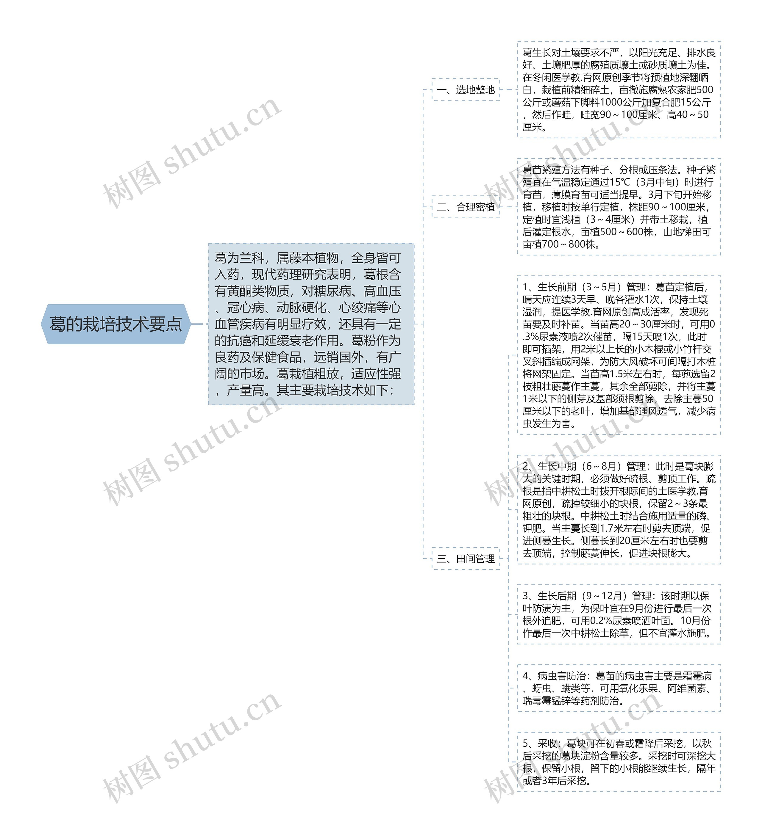 葛的栽培技术要点思维导图