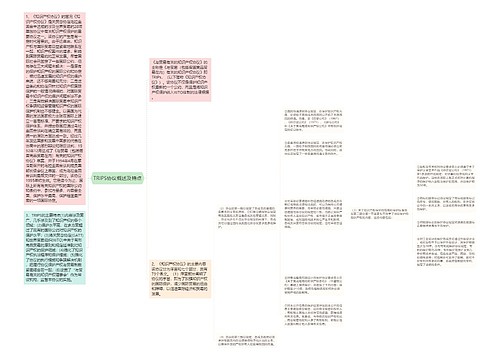 TRIPS协议概述及特点