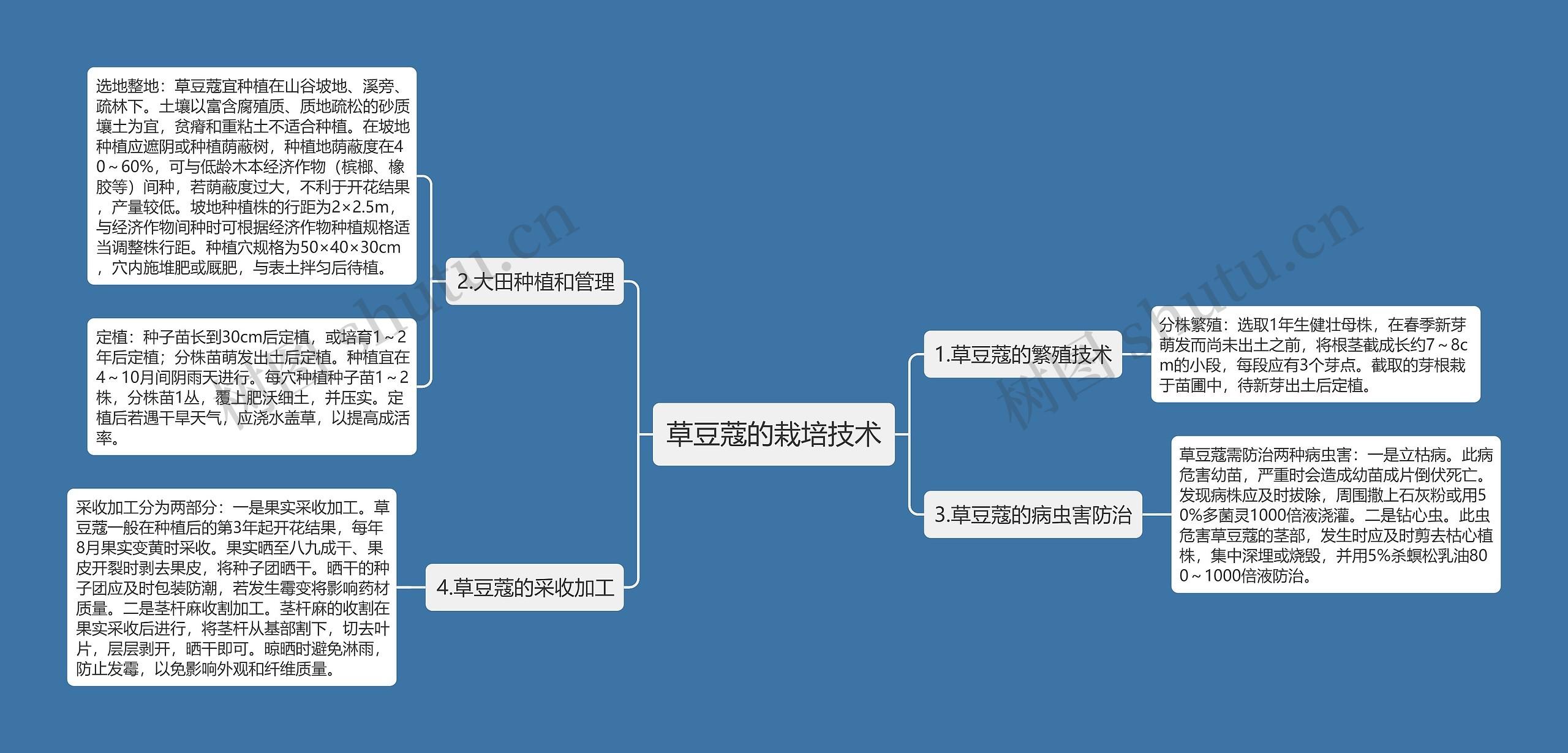 草豆蔻的栽培技术思维导图