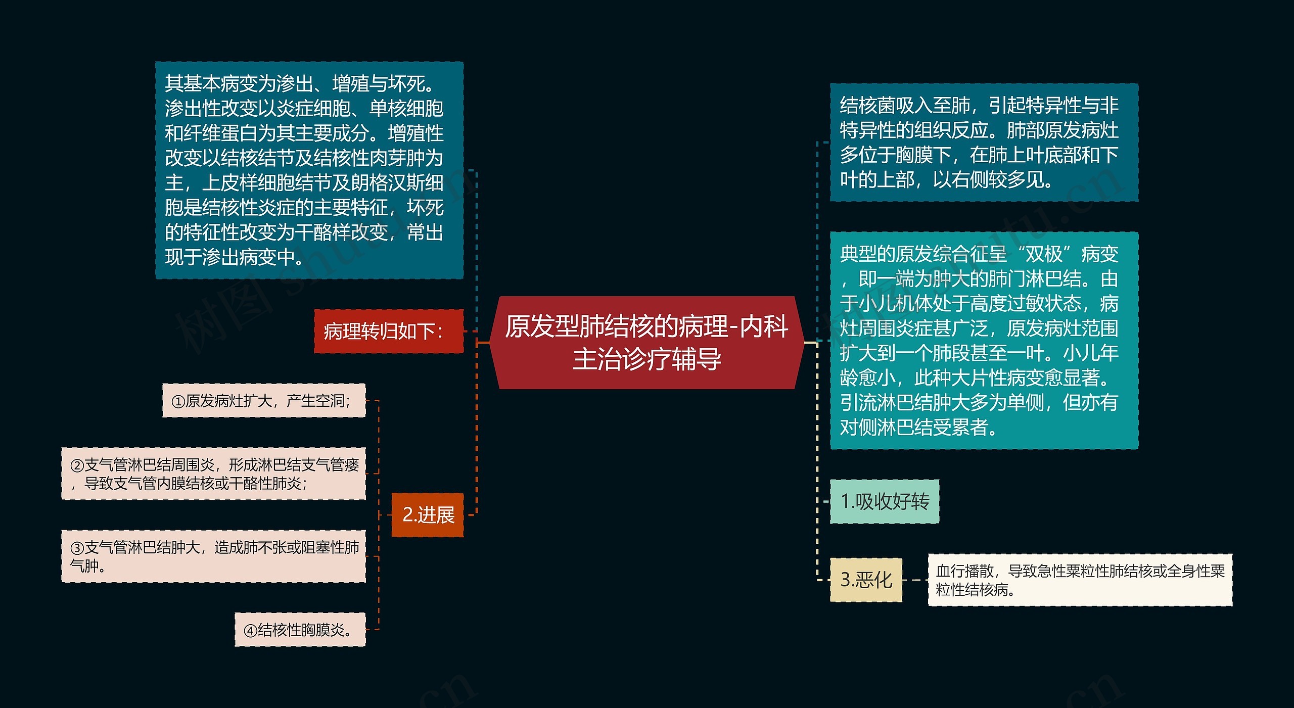 原发型肺结核的病理-内科主治诊疗辅导思维导图